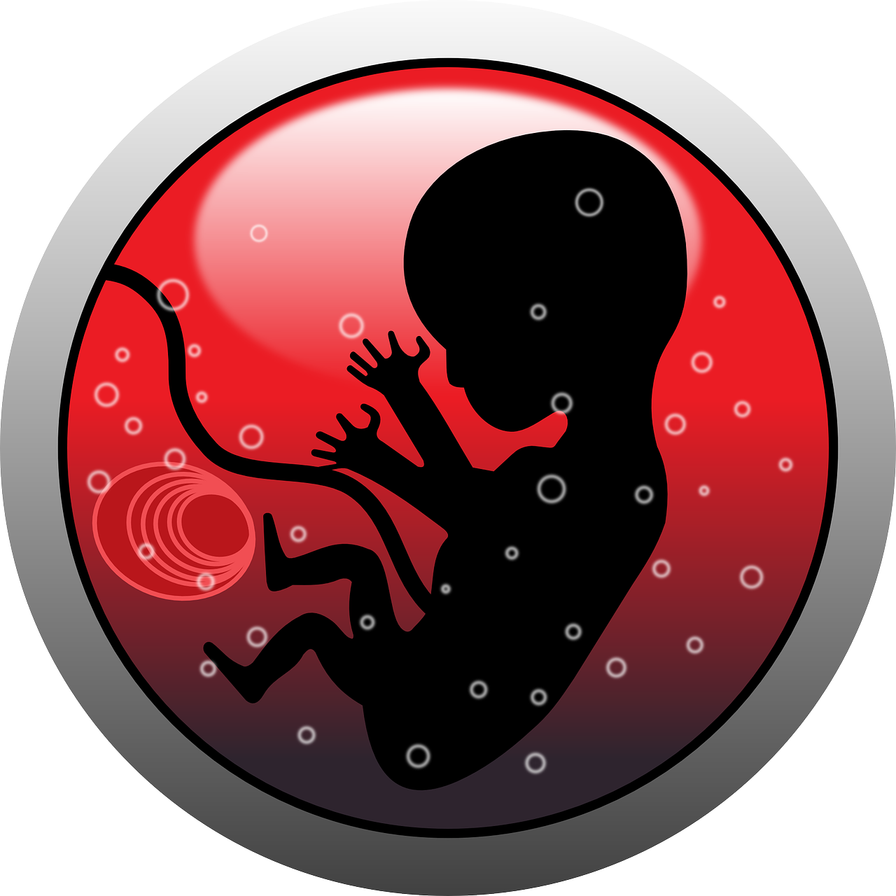 erfahren sie alles über die pränatale versorgung, von wichtigen untersuchungen bis hin zu ernährungstipps, um eine gesunde schwangerschaft für sie und ihr baby zu gewährleisten.