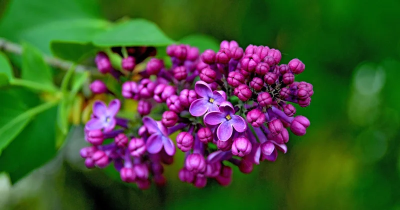 Farben, die Sie vermeiden sollten – und warum