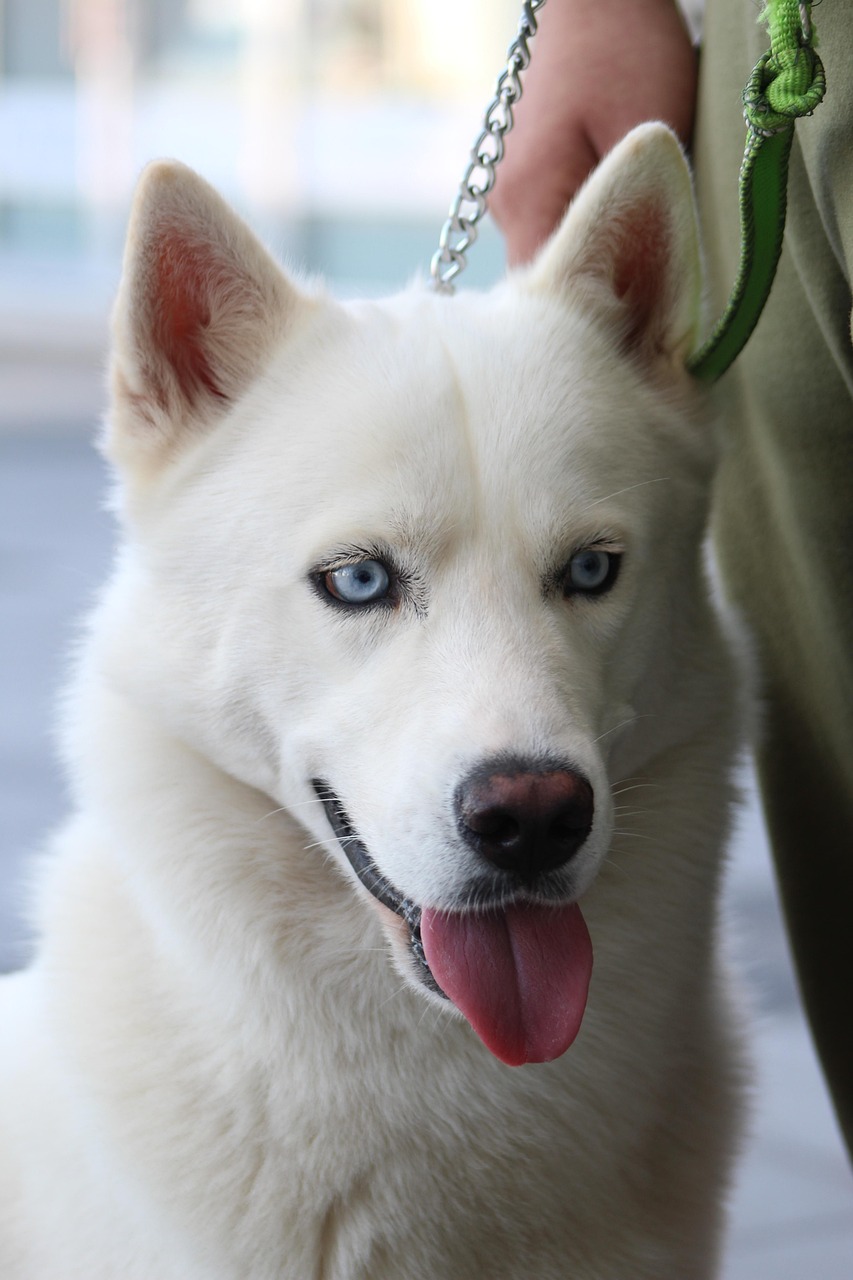 Augentraining gegen Bildschirmbelastung