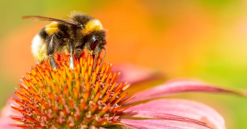 Farbwirkung: Was bedeuten die Farben für Ihr Kind?