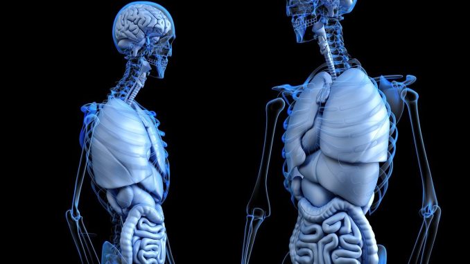 abdominal pain entdecken sie die verschiedenen ursachen und behandlungsmöglichkeiten für bauchschmerzen. erfahren sie, wie sie ihre symptome lindern und wann sie einen arzt aufsuchen sollten.
