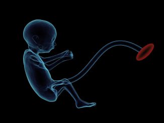 entdecken sie die wichtigsten informationen zur pränatalen versorgung, einschließlich tipps zur schwangerschaftsüberwachung, ernährung und gesundheitsversorgung für werdende mütter.