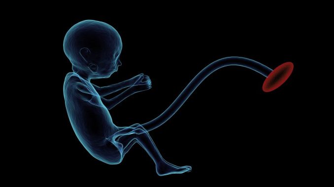 prenatal care entdecken sie die wichtigsten informationen zur pränatalen versorgung, einschließlich tipps zur schwangerschaftsüberwachung, ernährung und gesundheitsversorgung für werdende mütter.
