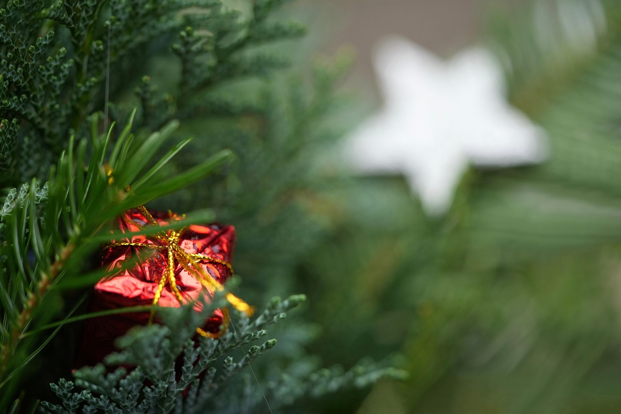 entdecken sie die perfekten geschenke für jeden anlass! ob geburtstag, weihnachten oder einfach nur als überraschung – finden sie inspirierende ideen, die von herzen kommen.