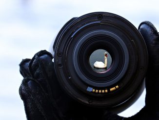 erfahren sie, wie sie durch die nacht schlafen können, mit hilfreichen tipps und techniken für einen erholsamen schlaf. entdecken sie die besten praktiken, um nächtliches wachwerden zu vermeiden und ihre schlafqualität zu verbessern.