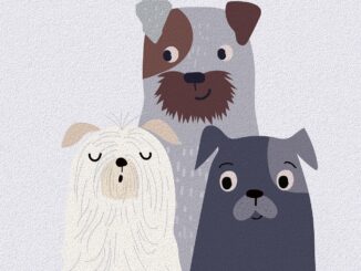 entdecken sie unsere liebevoll gestaltete nursery – der perfekte ort für ihr kind zum wachsen, lernen und spielen in sicherer, kreativer umgebung. jetzt mehr erfahren!