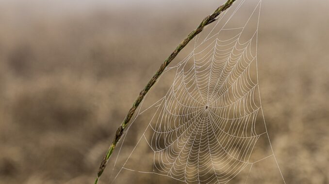 entdecken sie, wie feinmotorik die entwicklung von kindern unterstützt. tipps, übungen und informationen zur förderung feinmotorischer fähigkeiten bei kindern und erwachsenen.