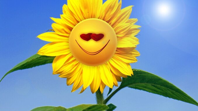 entdecken sie die verschiedenen geburtspositionen und wie sie den geburtsverlauf beeinflussen k&ouml;nnen. erfahren sie mehr &uuml;ber vorteile, techniken und empfehlungen f&uuml;r eine komfortable geburt.