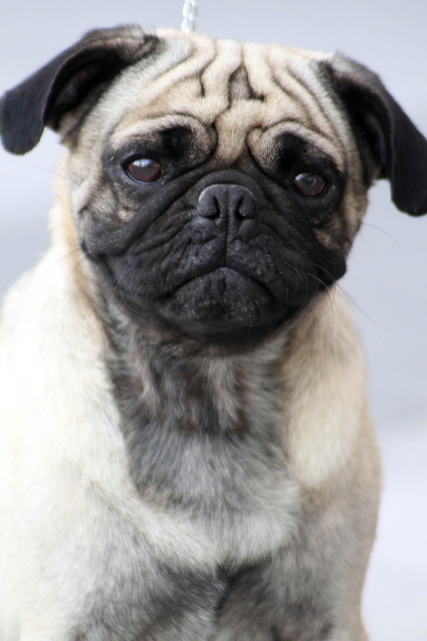 augentraining zur verbesserung der sehkraft und zur entspannung der augenmuskulatur. effektive übungen für gesunde und fitte augen.