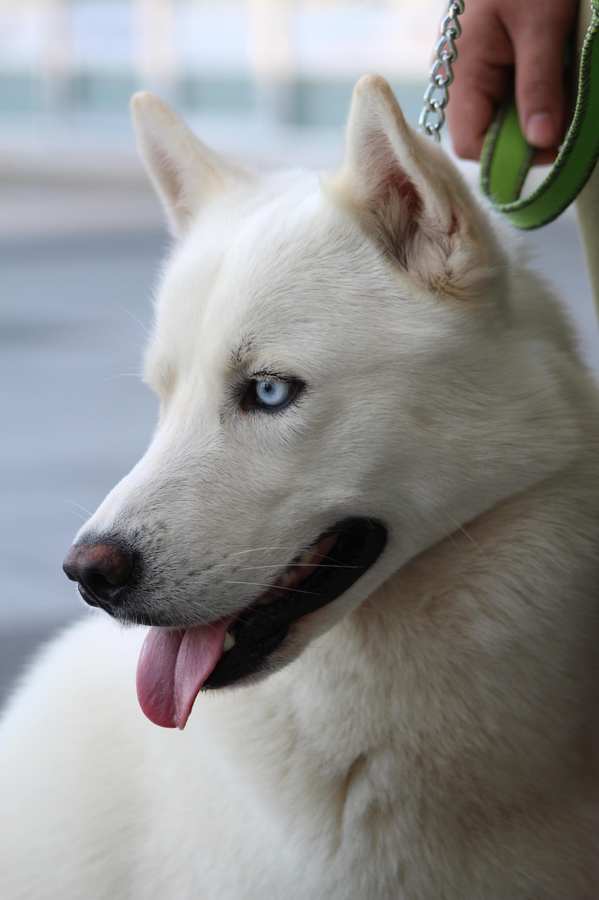 augentraining zur verbesserung der sehkraft und förderung gesunder augen durch effektive übungen.
