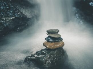 natürliche hormonbalance: entdecken sie effektive methoden zur unterstützung und regulierung ihres hormonellen gleichgewichts für mehr wohlbefinden und energie.