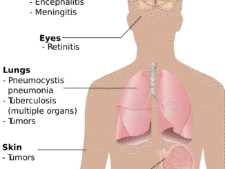 erfahren sie mehr &uuml;ber verschiedene hautprobleme, ihre ursachen und effektive behandlungsm&ouml;glichkeiten f&uuml;r gesunde und strahlende haut.