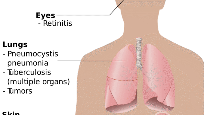 erfahren sie mehr &uuml;ber verschiedene hautprobleme, ihre ursachen und effektive behandlungsm&ouml;glichkeiten f&uuml;r gesunde und strahlende haut.